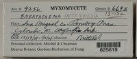 Image Associated With the Occurence